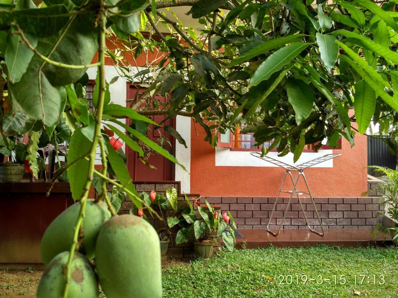 Nilas Guesthouse Hikkaduwa Buitenkant foto