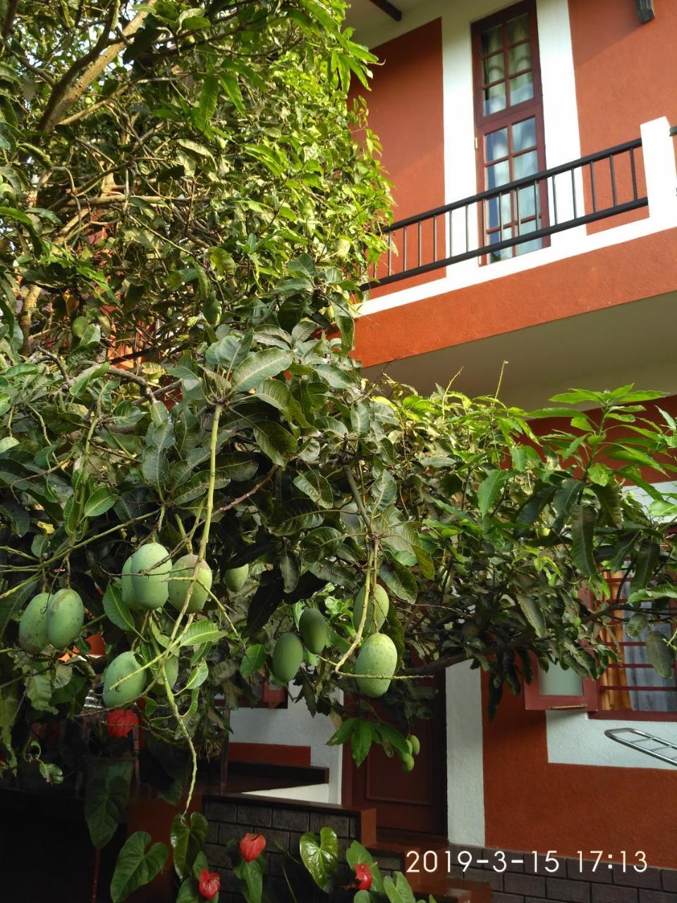 Nilas Guesthouse Hikkaduwa Buitenkant foto